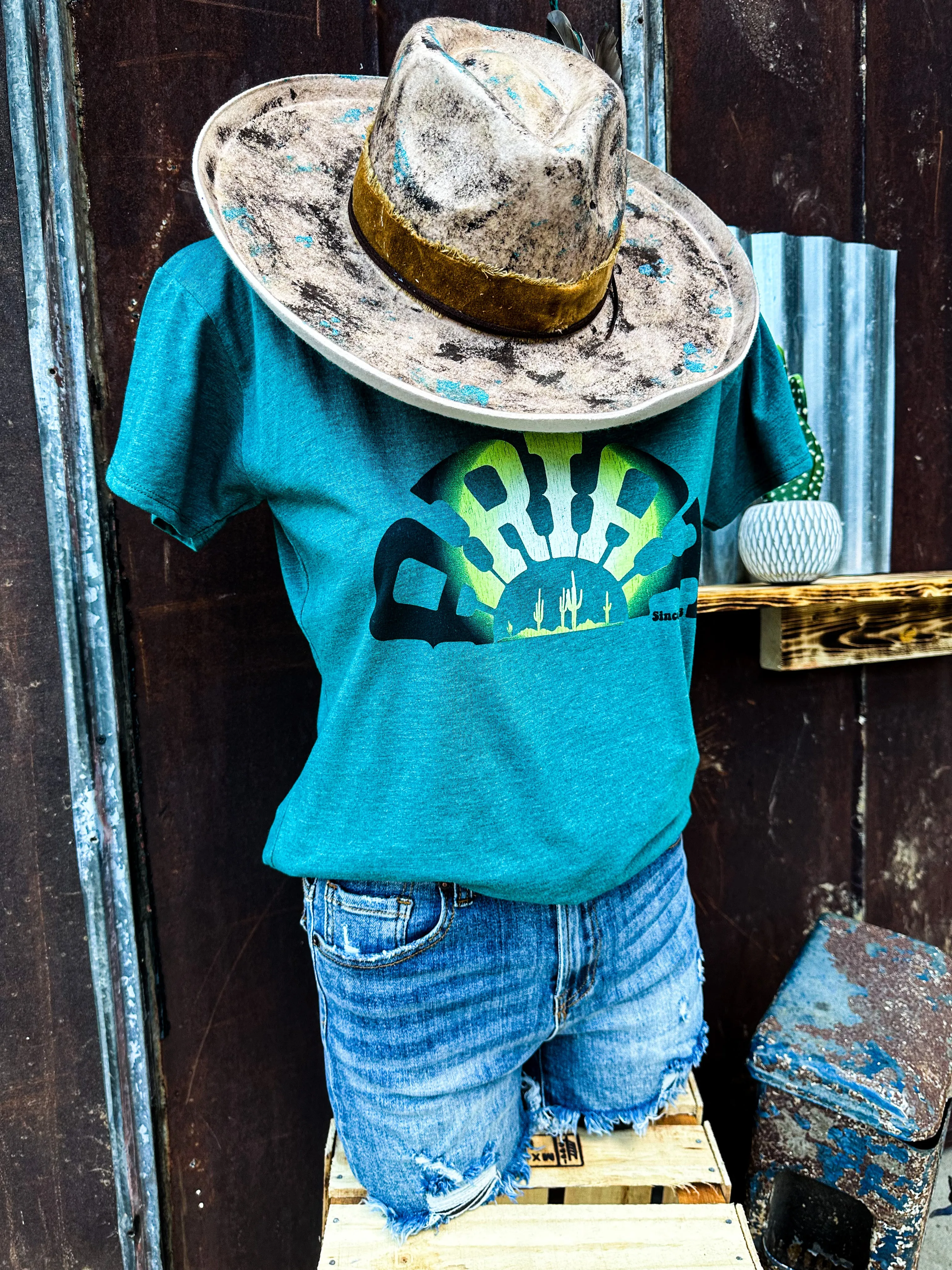 Ariat Rainbow Graphic