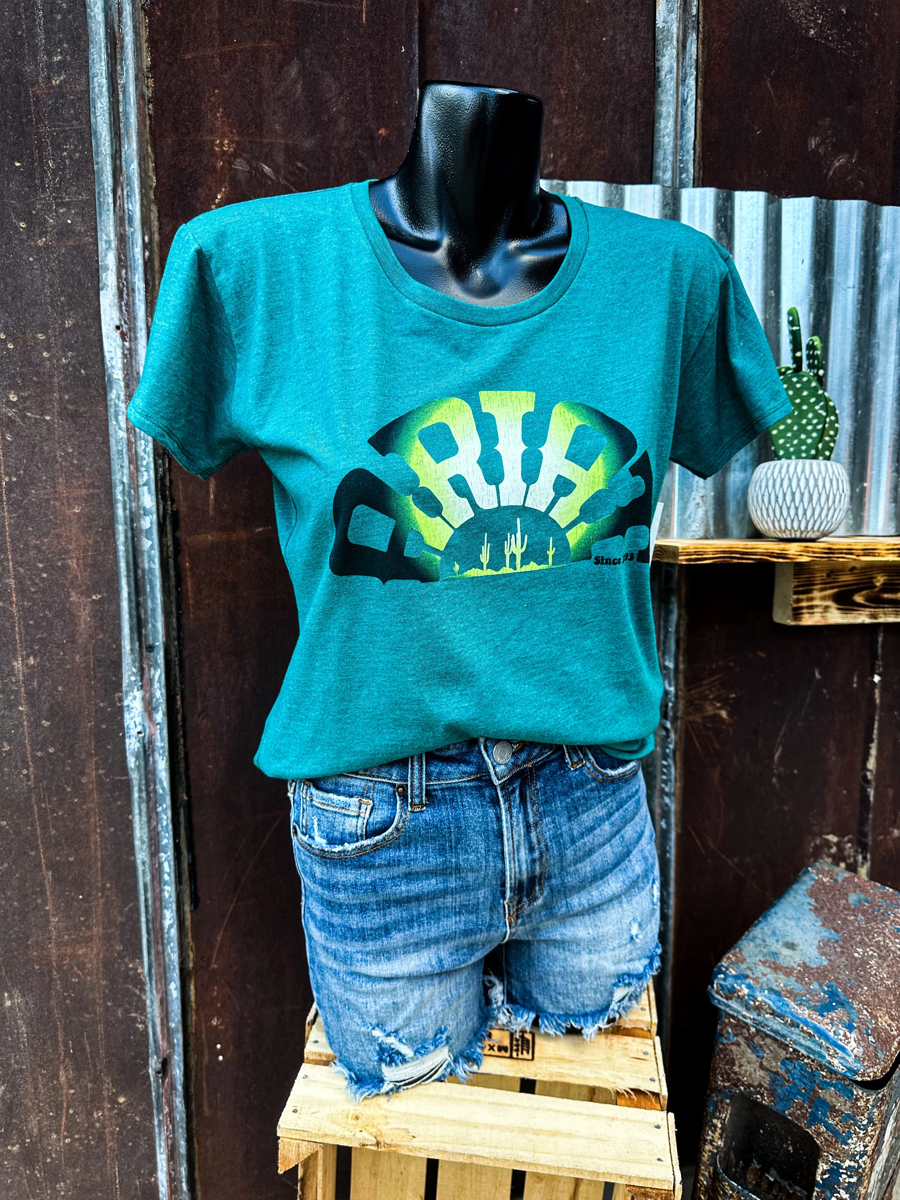 Ariat Rainbow Graphic