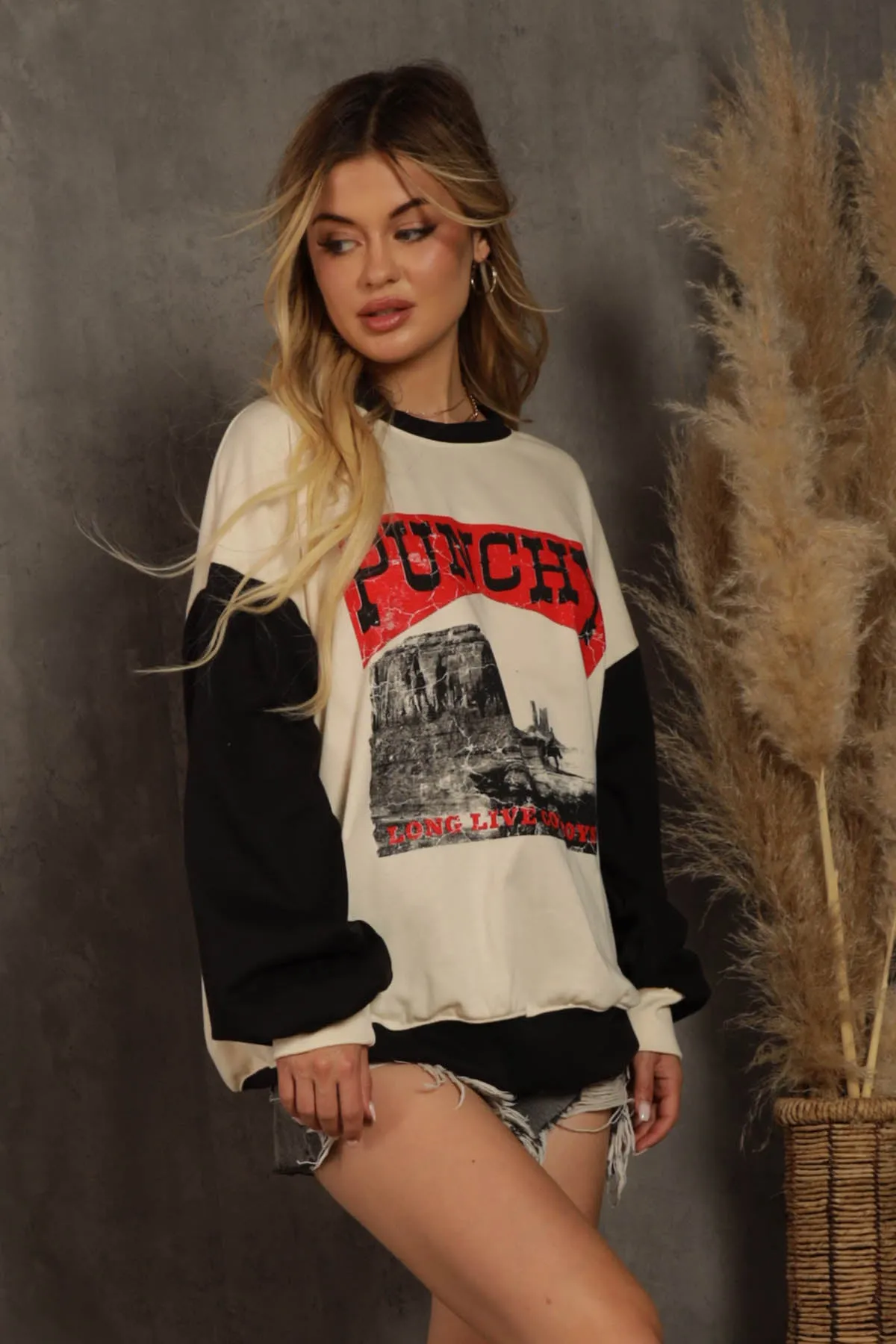 Punchy Sweatshirts